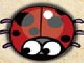 /017fc8588f-nervous-ladybug-2
