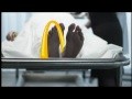 McDonalds - I Was Lovin It (Consequences)