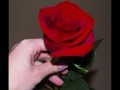 Armik - "Rosas del amor"