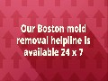 Mold Removal in Boston MA