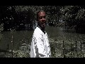 /4f4edcb4ce-zee-vibe-official-video