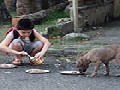 http://www.inspirefusion.com/young-boy-feeds-starving-stray-dogs-spare-time/