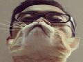 Cat Beard: Latest Bizarre Photo Trend