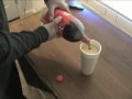 Set Up The Ice Cup Prank!