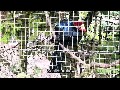 Zu Besuch im Affen- und Vogelpark Eckenhagen – 3