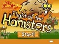 http://dagobah.biz/flash/flight_of_the_hamsters.swf