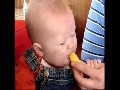 ** Babys essen Zitronen **