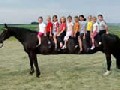 Longest Horses in the World - So Funny