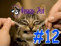 /83c939bf17-best-funny-animals-compilation-november-2015-12