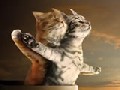 http://www.welaf.com/13324,titanic-love-of-cats.html