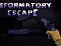Reformatory Escape