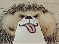http://www.inspirefusion.com/marutaro-the-cute-hedgehog-wearing-funny-paper-maks/