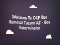 OCP Bee Removal in Tucson, AZ