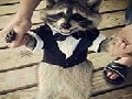 http://www.inspirefusion.com/raccoon-suit/