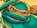 http://www.cracked.com/video_18260_which-ninja-turtle-are-you-lifes-most-important-question.html