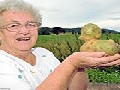 Grandmother Digs Up Duck-Shaped Potato