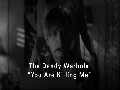 The Dandy Warhols - "You Are Killing Me"