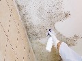 ALL US Mold Removal & Mold Remediation in Plano, TX