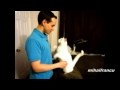 Cats Acting Like Humans Compilation