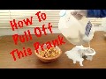 /ff1418ec34-how-to-prank-your-roommate-with-a-milk-gallon