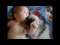 /6144f03a00-cat-loves-baby-aww
