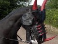 Scary Mask To Turn Your Horse Into Dragon