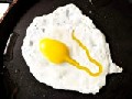 Wow, Amazing Egg Art!