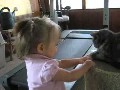** Baby spielt mit der Katze **