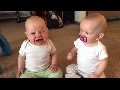 ** Twin baby girls fight over pacifier **