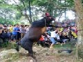 http://www.inspirefusion.com/live-bull-hanging-ritual-in-china/