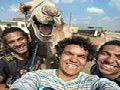 Funny Camel Smiling For A Group Selfie