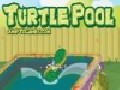 /220e3efa88-turtle-pool