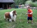 ** Baby and dog play with hose **