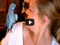 Papagei flirtet mit Frauchen