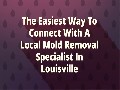 /553e1fc489-mold-removal-in-louisville-ky