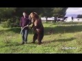 Bears Acting Like Humans Compilation