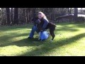 Dog Trainer save Dog with CPR