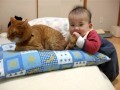 Cute Baby and Cat