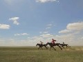 Mongolian Racer