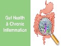 How Chronic Inflammation is Linked to Gut Health