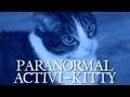 Paranormal Activi-kitty
