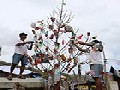 Christmas Tree Made of Trash