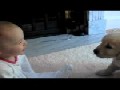http://funzug.de/hundewelpe-trifft-auf-baby-battle-of-cuteness/