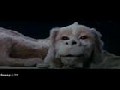 http://FunnyOrDie.com/videos/d851be122a/falcor-is-a-pedophile