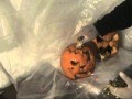 This guy goes crazy on two pumpkins, total massacre(WATCH)