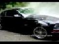 Ford Mustang GT Supercharged Burnout