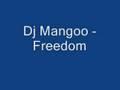 Dj Mangoo - Freedom