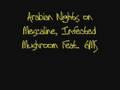 /b5376b799e-infected-mushroom-arabian-nights-on-mescaline