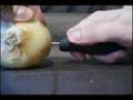 How to Charge an iPod using electrolytes and an onion