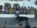 bull fight festival - stupid people - dont mess with bull
